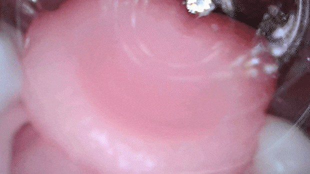 sijoukutimanshugi002