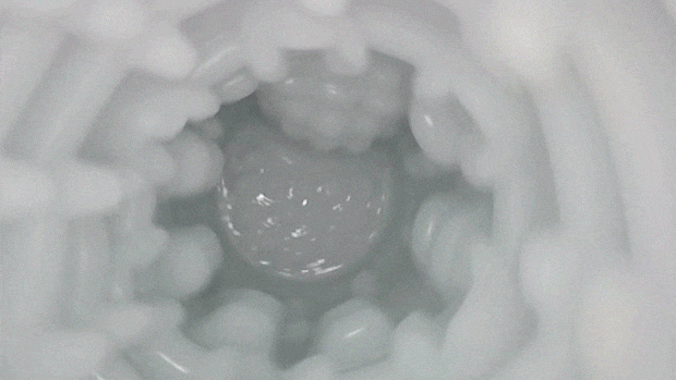 glepis3