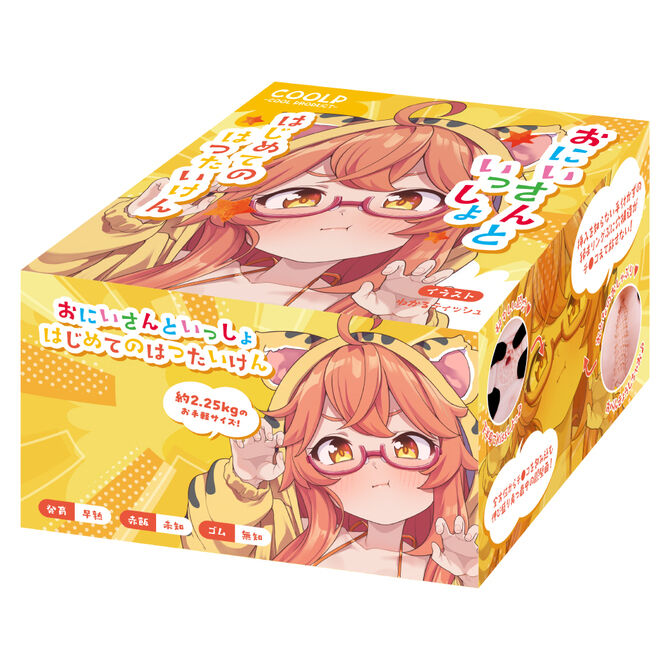 おにいさんといっしょ はじめてのはつたいけん