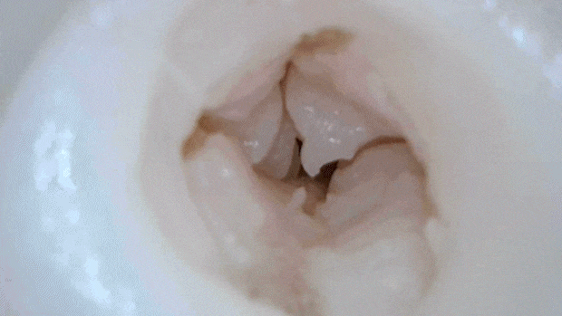 kanshokuhyouhon002
