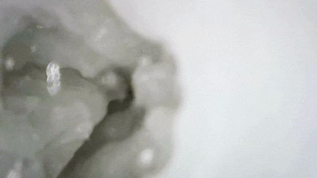 pururunuzuuzu001