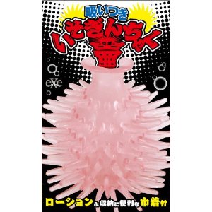 吸いつきいそぎんちゃく壺