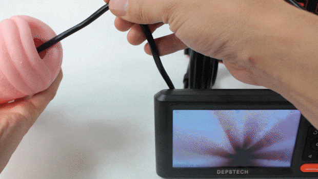 testgif004