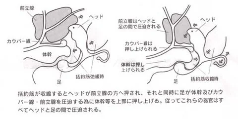 9e985888-s