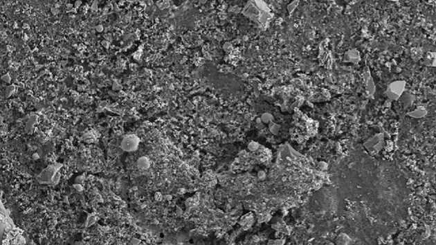 41443-2024-930-fig3-crop