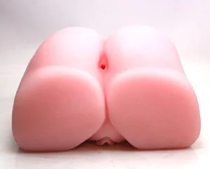 PA_back