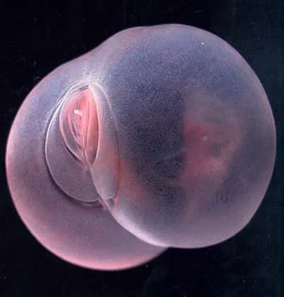 1c363e18