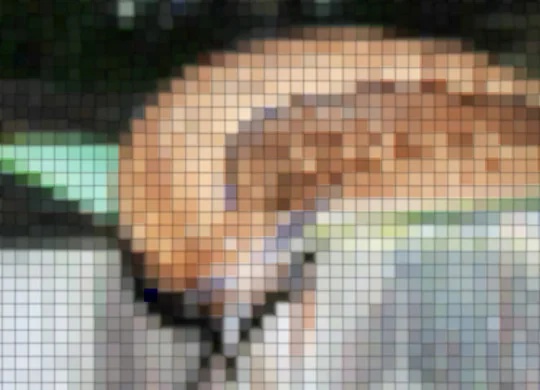 img0661ffd2zik6zj
