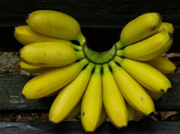 banana