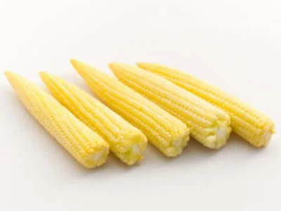 YA-R-010