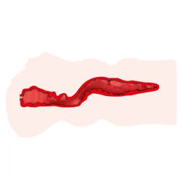animal_getchu_02_thumb03