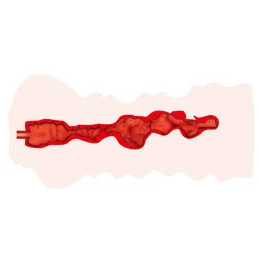 animal_getchu_01_thumb03