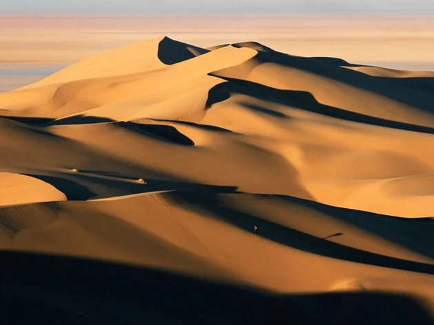 desert_nake-w960